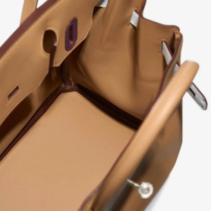 High-End Hermès Inspired Birkin 30 Swift Chai/Lime/Bleu Brume/Mauve Sylvestre/Nata PHW - Direct Luxury Fashion - Image 5