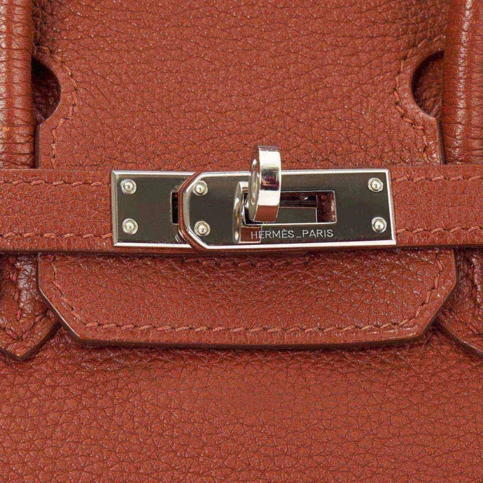 Mirror Quality Hermès Birkin 25 Togo Sienne PHW - Replica Handbags - Image 6
