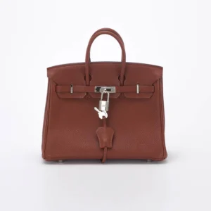 Mirror Quality Hermès Birkin 25 Togo Sienne PHW | Replica Handbag