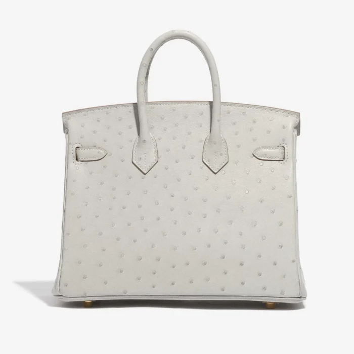 Mirror Quality Hermès Replicas Birkin 25 Ostrich Gris Perle GHW - DLF - Image 2