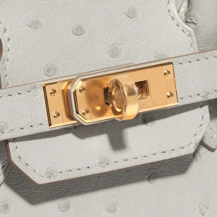 Mirror Quality Hermès Replicas Birkin 25 Ostrich Gris Perle GHW - DLF - Image 7