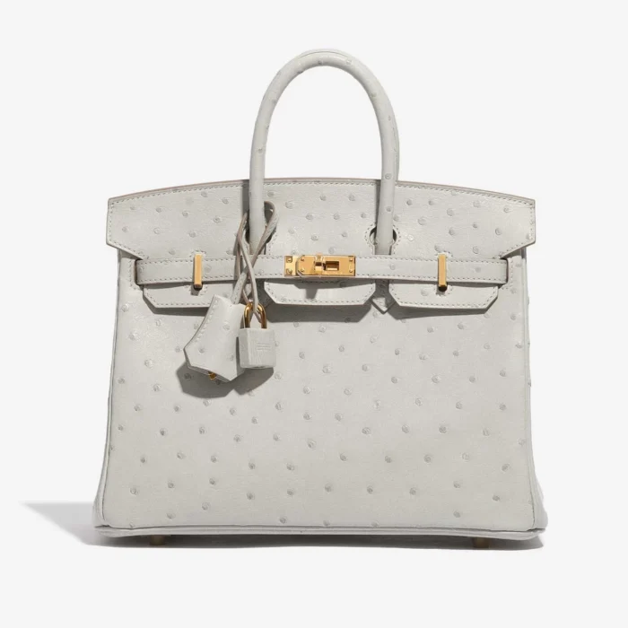 Mirror Quality Hermès Replicas Birkin 25 Ostrich Gris Perle