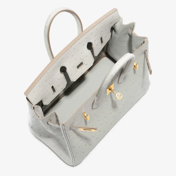 Mirror Quality Hermès Replicas Birkin 25 Ostrich Gris Perle GHW - DLF - Image 5
