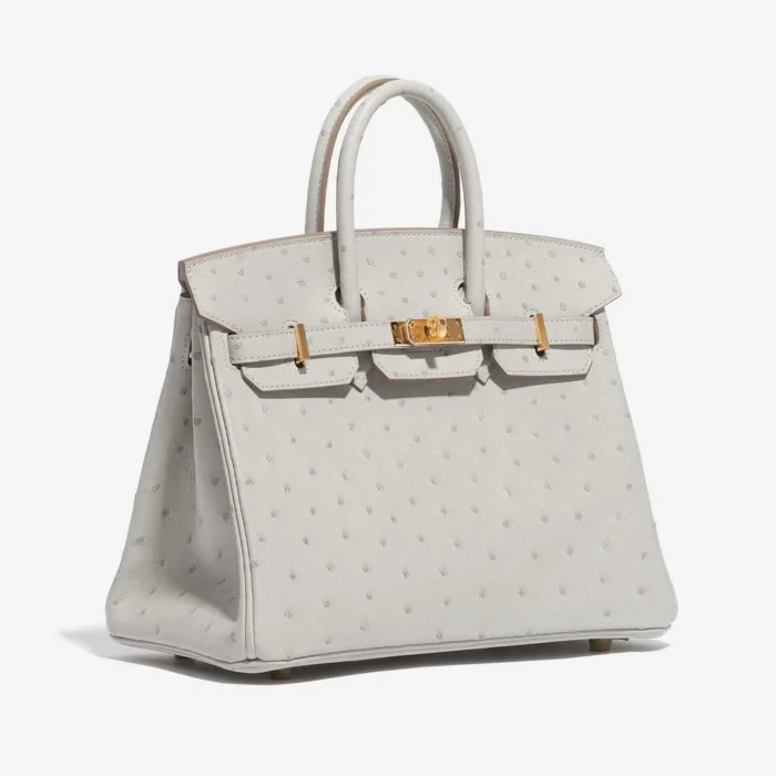 Mirror Quality Hermès Replicas Birkin 25 Ostrich Gris Perle GHW - DLF - Image 4