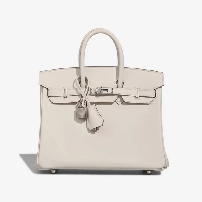 Mirror Quality Hermès Replicas Birkin 25 Swift Mushroom PHW - DLF