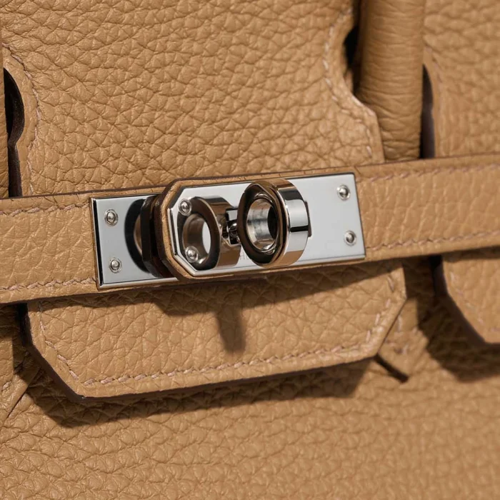 Mirror Quality Hermès Replicas Birkin 25 Togo Biscuit PHW - DLF - Image 7
