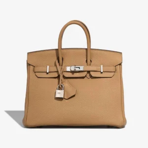 Mirror Quality Hermès Replicas Birkin 25 Togo Biscuit PHW - DLF