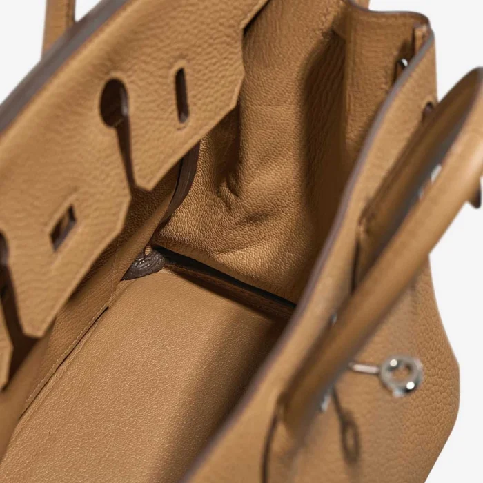 Mirror Quality Hermès Replicas Birkin 25 Togo Biscuit PHW - DLF - Image 5
