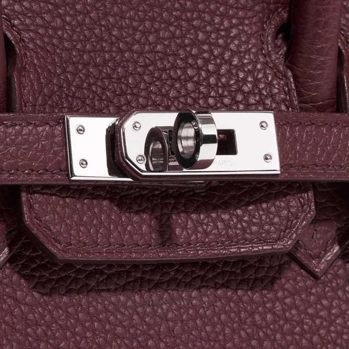 Mirror Quality Hermès Replicas Birkin 25 Togo Bordeaux PHW - DLF - Image 7