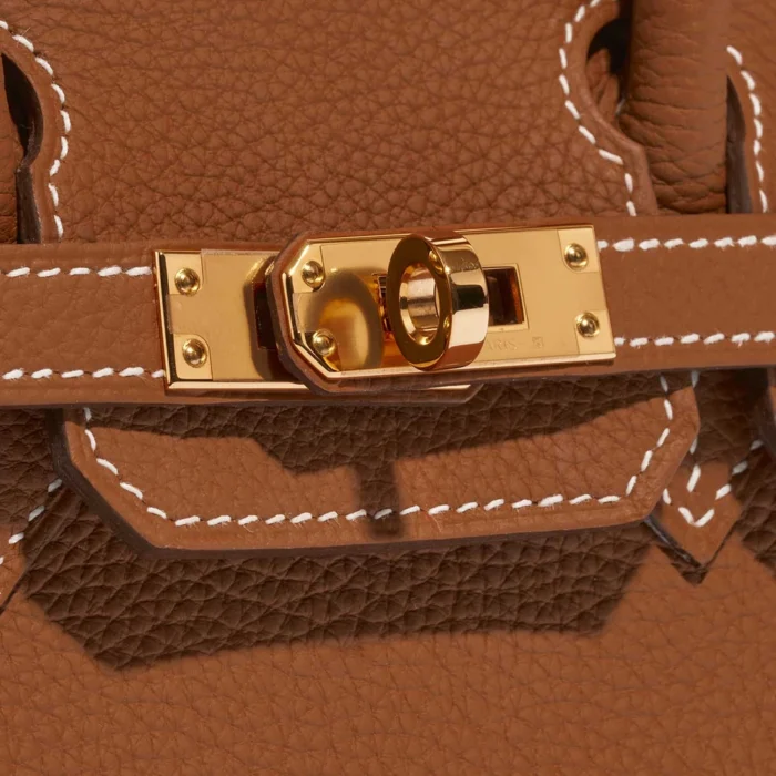 Mirror Quality Hermès Replicas Birkin 25 Togo Gold GHW - DLF - Image 7