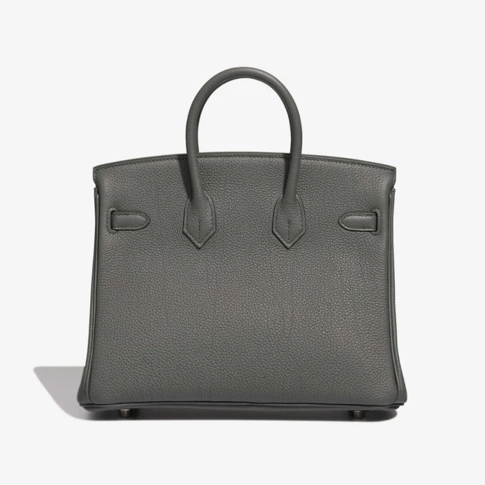 Mirror Quality Hermès Replicas Birkin 25 Togo Vert Amande PHW - DLF - Image 2