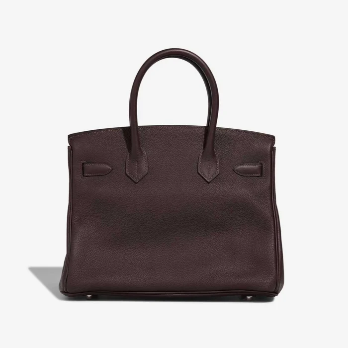 Mirror Quality Hermès Replicas Birkin 30 Evercolor Verso ebene/Sesame PHW - DLF - Image 2