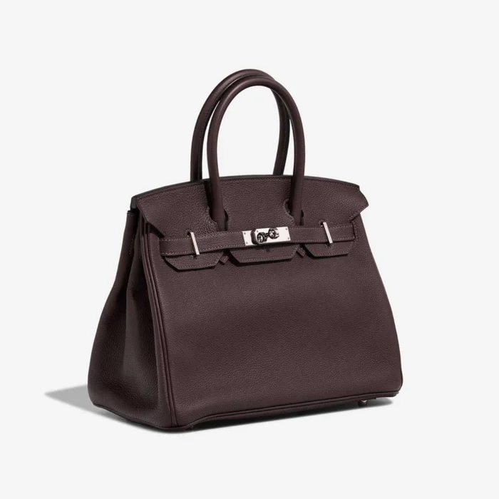 Mirror Quality Hermès Replicas Birkin 30 Evercolor Verso ebene/Sesame PHW - DLF - Image 4