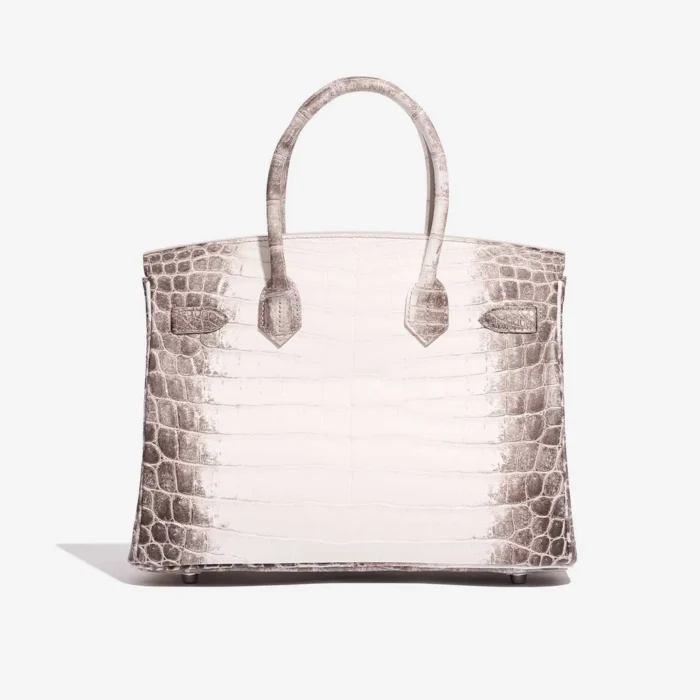 Mirror Quality Hermès Replicas Birkin 30 Matte Alligator Himalaya Blanc PHW - DLF - Image 2