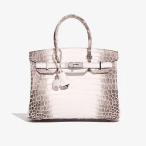 Mirror Quality Hermès Replicas Birkin 30 Alligator Himalaya | DLF