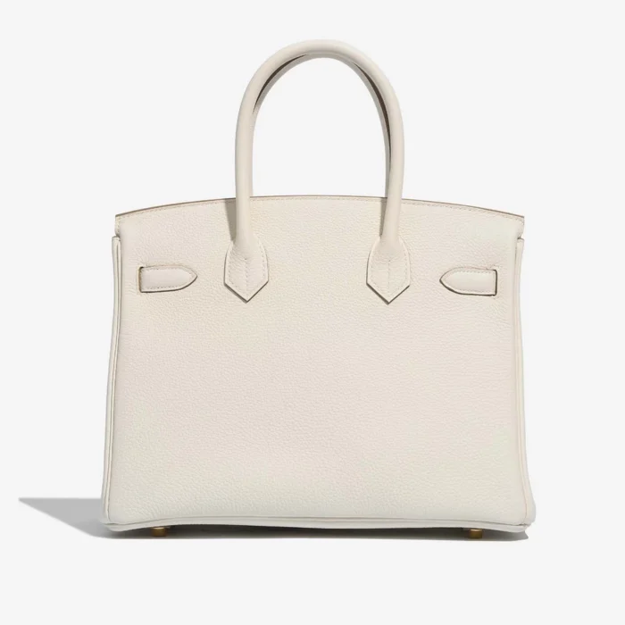 Mirror Quality Hermès Replicas Birkin 30 Togo Mushroom GHW - DLF - Image 2