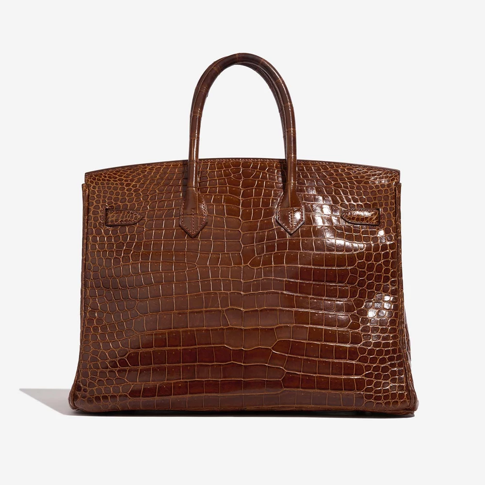 Mirror Quality Hermès Replicas Birkin 35 Porosus Crocodile Etrusque PHW - DLF - Image 2