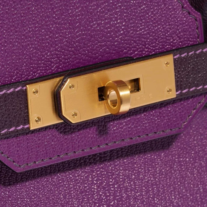 Mirror Quality Hermès Replicas HSS Birkin 30 Chèvre Mysore Anemone/Raisin GHW - DLF - Image 7