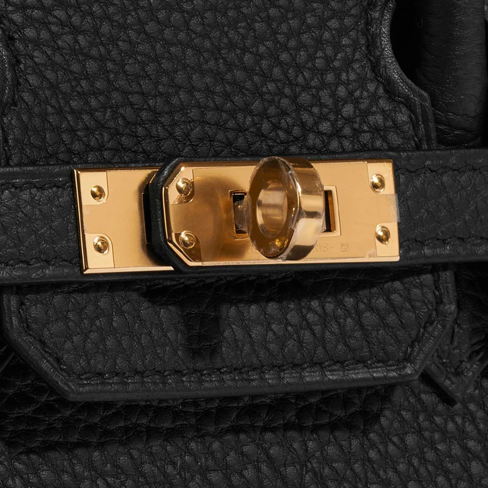 Birkin 25 in Black Togo Leather with Polished Gold Hardware - Image 7