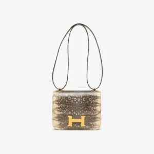 Premium Hermès Replica Constance 18 Lizard Ombre GHW | DLF