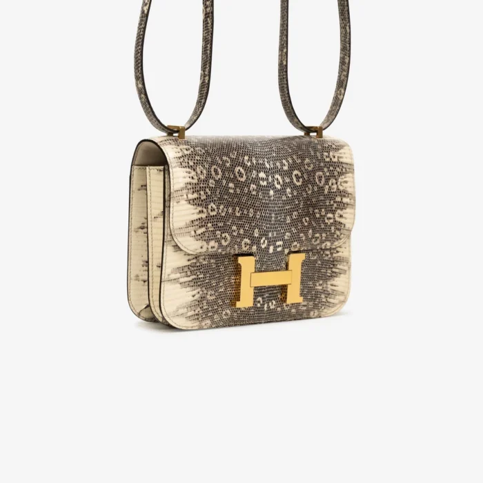 Premium Hermès Replica Constance 18 Lizard Ombre GHW - Direct Luxury Fashion - Image 4