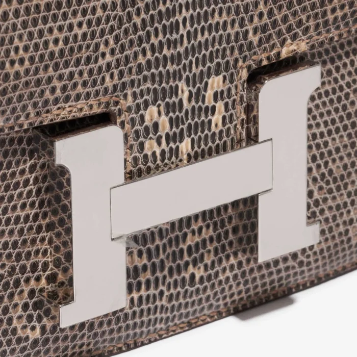 Premium Hermès Replica Constance 18 Salvator Lizard Desert Ombre PHW - Direct Luxury Fashion - Image 7