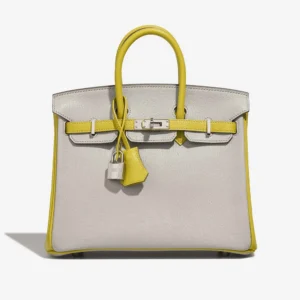 Premium Hermès Replica HSS Birkin 25 | Direct Luxury Fashion